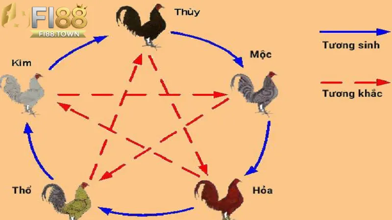 Mối liên hệ giữa màu sắc và yếu tố phong thuỷ trong đá gà tại Fi88 