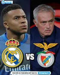 Soi kèo Play - off C1